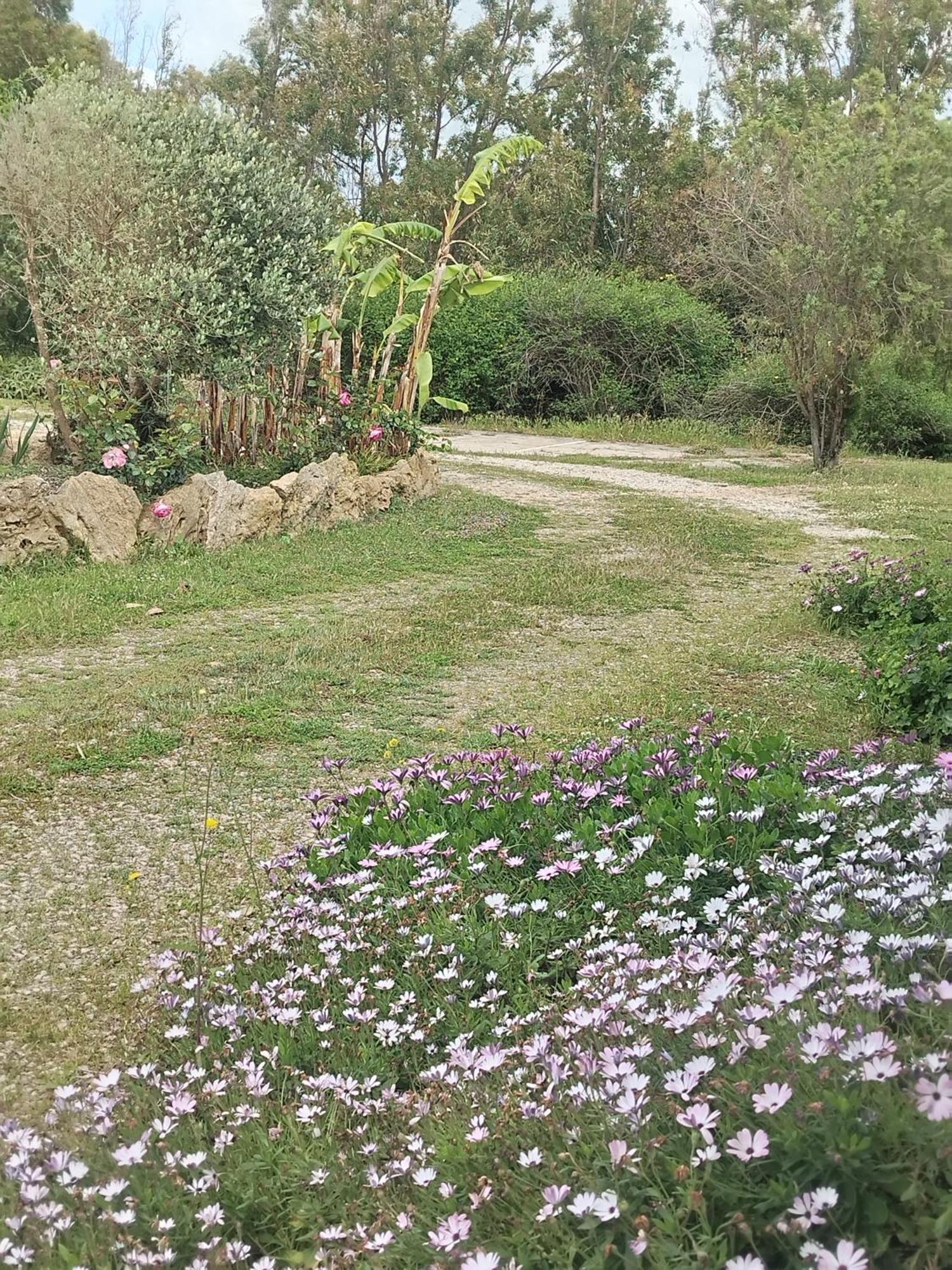 Camera Serraona Alghero Buitenkant foto